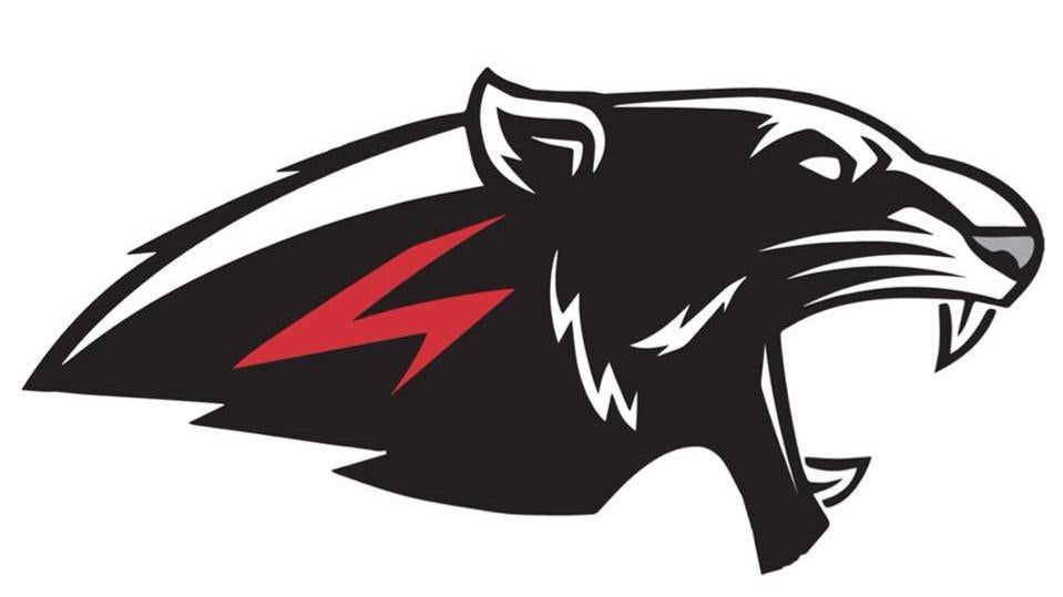 image of Bunkie Panther Football logo